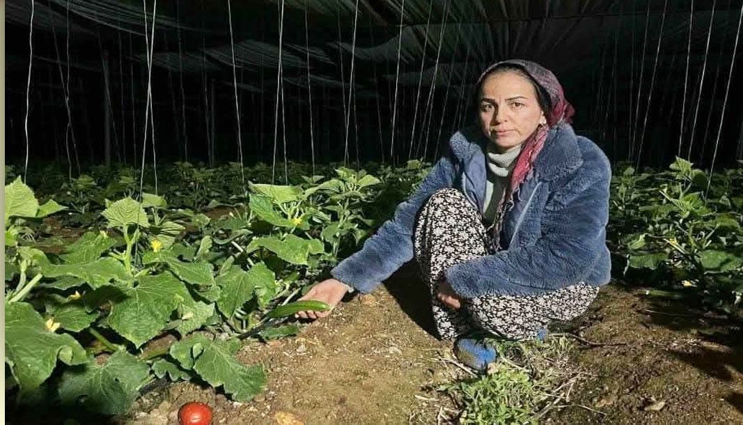 Kadın üreticilerin zorlu don nöbeti: Antalya’da salatalık üreticisi Songül Çimen’in mücadelesi - Birlik Haber Ajansı