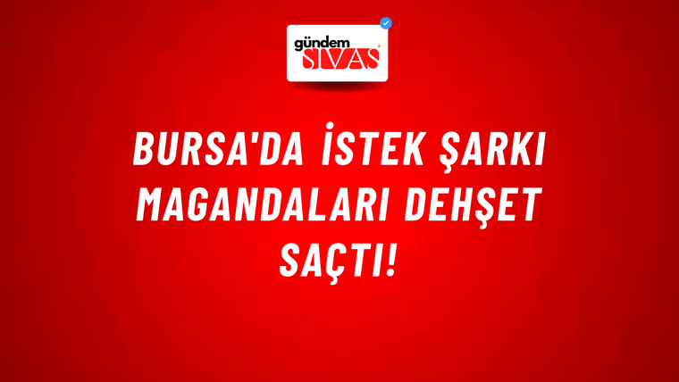 Bursa'da istek şarkı magandaları dehşet saçtı!