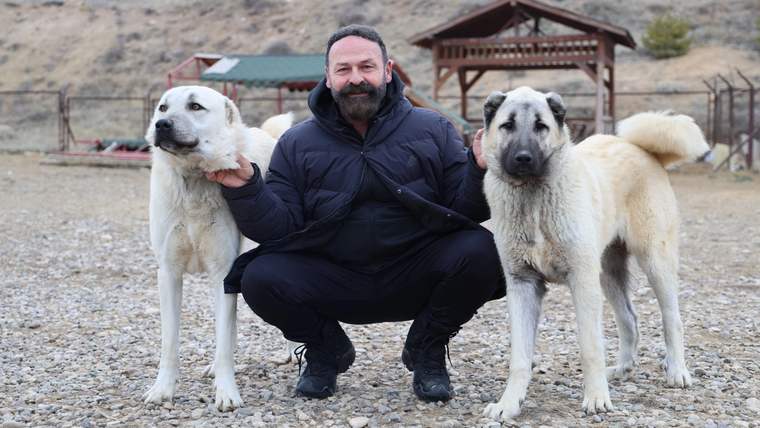 İki Kangal köpeğiyle birlikte oturan bir adam, gülümseyerek poz veriyor.