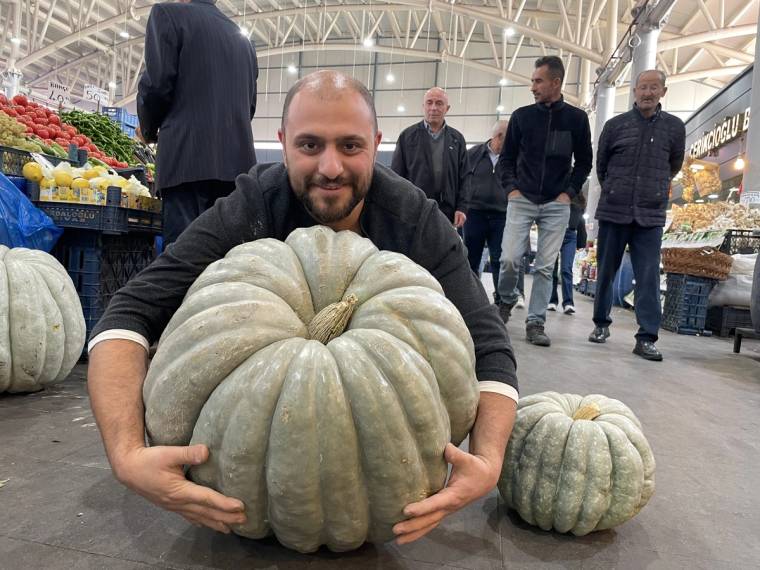 Bir kişi, 60 kilogram ağırlığında büyük bir bal kabağını kucaklayarak tutuyor. Arkada pazar alanında insanlar yer alıyor.