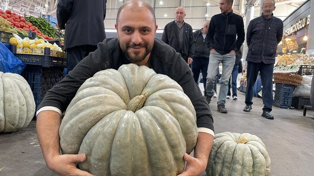 Sivas'tan Dev Bal Kabağı Haberi: 60 Kilogramlık Rekor Ürün Göz Kamaştırdı