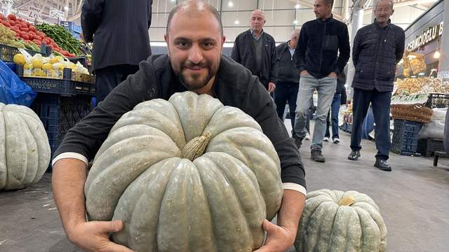 Sivas'tan Dev Bal Kabağı Haberi: 60 Kilogramlık Rekor Ürün Göz Kamaştırdı