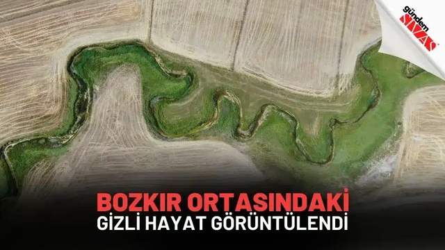 Bozkır Ortasındaki Gizli Hayat Görüntülendi