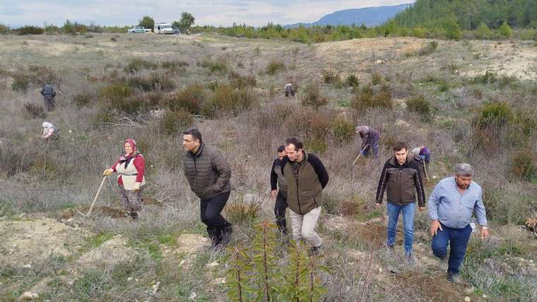 Bucak ormanında 2025 bakım programı çalışmaları denetlendi - Birlik Haber Ajansı