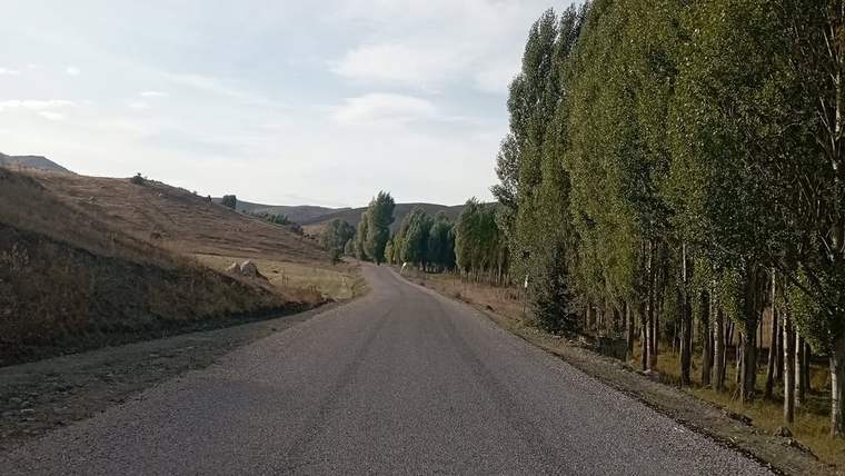 Asfaltlanmış bir yol, her iki yanında ağaçlar ve açık alanlar ile Sivas Yıldızeli'nde görünmektedir.