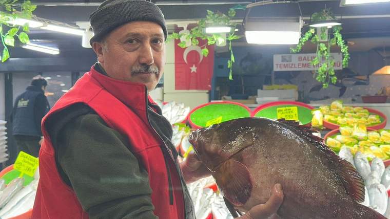 Kırmızı yelek giymiş bir kişi, 7,5 kiloluk orfoz balığını tutuyor.