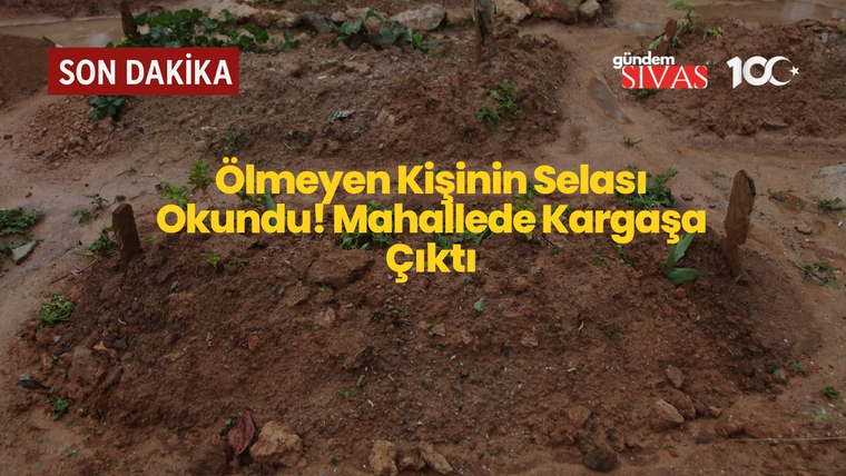 Toprağa gömülmüş iki tahta, etrafında çamurlu zemin ve bitkiler var.