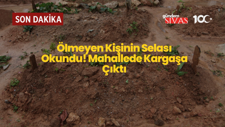 Toprağa gömülmüş iki tahta, etrafında çamurlu zemin ve bitkiler var.