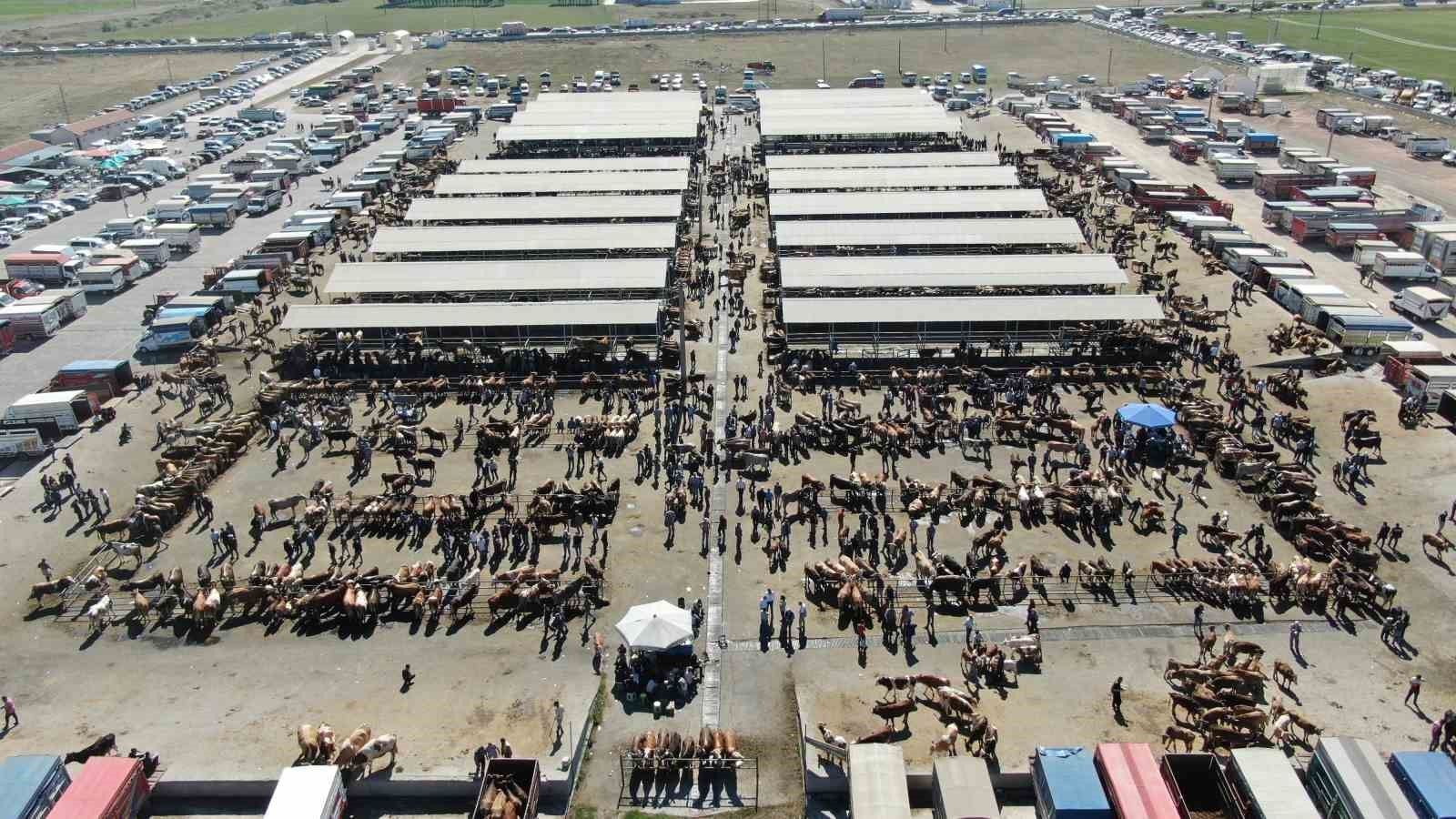 Şarkışla Hayvan Pazarı neden kapatıldı.