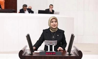 AK Partili Toy'dan TBMM'de Doğa ve Milli Parklar Vurgusu: "Korunan Alanlarımız Dört Katına Çıktı"