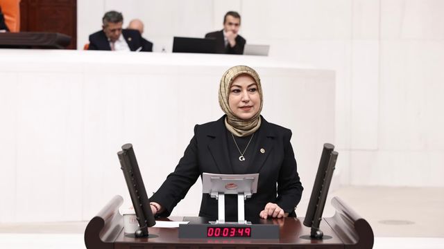 AK Partili Toy'dan TBMM'de Doğa ve Milli Parklar Vurgusu: "Korunan Alanlarımız Dört Katına Çıktı"