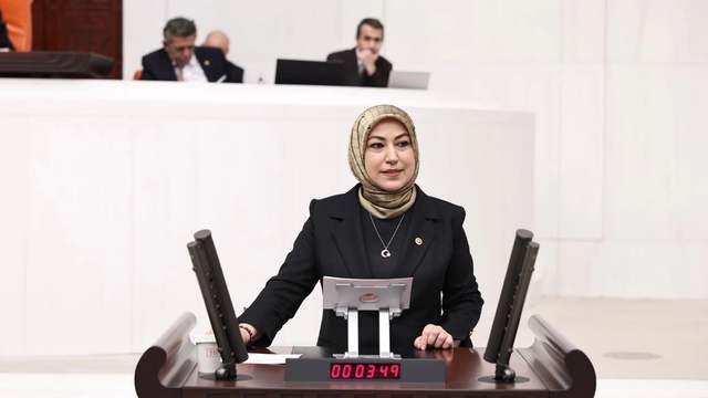 AK Partili Toy'dan TBMM'de Doğa ve Milli Parklar Vurgusu: "Korunan Alanlarımız Dört Katına Çıktı"