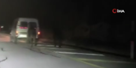 Sivas’ta Atlara Eziyet Kamerada: Kamyonetin Arkasına Bağlayıp Koşturdu