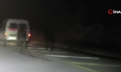 Sivas’ta Atlara Eziyet Kamerada: Kamyonetin Arkasına Bağlayıp Koşturdu