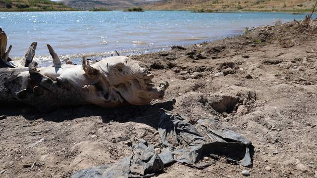 Sivas’ta 4 Eylül Barajında Tehlikeli Düşüş