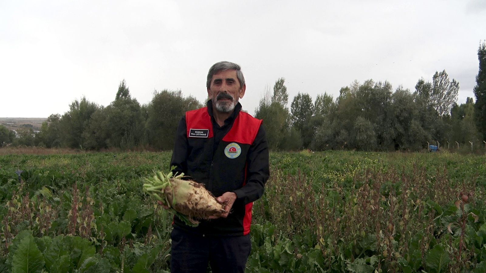 Sivas’ta Şeker Pancarı Hasadında 800 Bin Ton Beklentisi