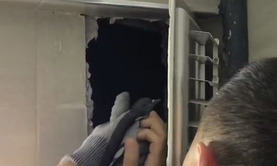 Sivas'ta Apartman Havalandırma Boşluğuna Düşen Güvercin İtfaiye Ekiplerince Kurtarıldı