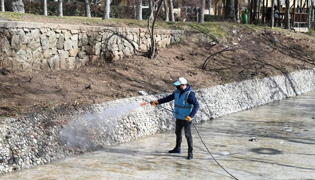 Isparta Belediyesinden larva mücadelesiyle yaz hazırlığı - Birlik Haber Ajansı
