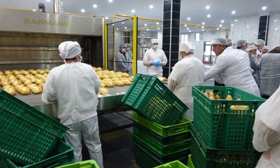 Sivas Belediyesi Yeni Ekmek Fabrikası Açıldı: Günde 192 Bin Ekmek Üretilecek