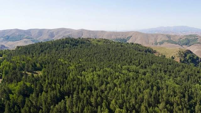 Sivas’ta İki Bölge Orman Sınırları Dışına Çıkarıldı