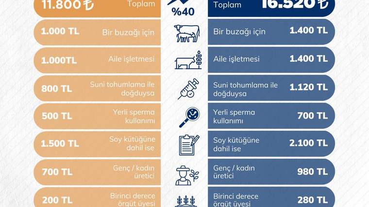 2024 ve 2025 yıllarındaki hayvancılık destek tutarlarını karşılaştıran, turuncu ve lacivert sütunlu infografik.