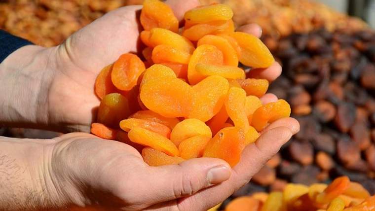 Türkiye'de kuru meyve ihracatı: 2 milyar dolara yaklaştı - Birlik Haber Ajansı
