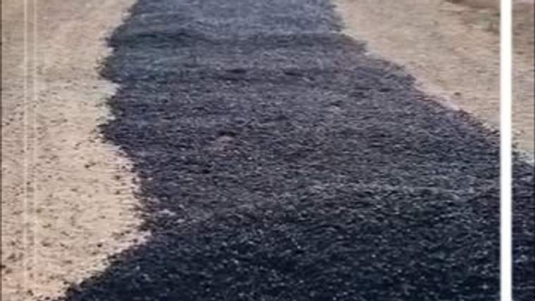 Asfalt kaplama yapılmış bir yol, yanlarında toprak alanlar bulunuyor.