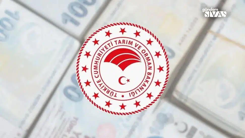 Banka Hesabınızı Kontrol Edin: Ödemeler Başlıyor