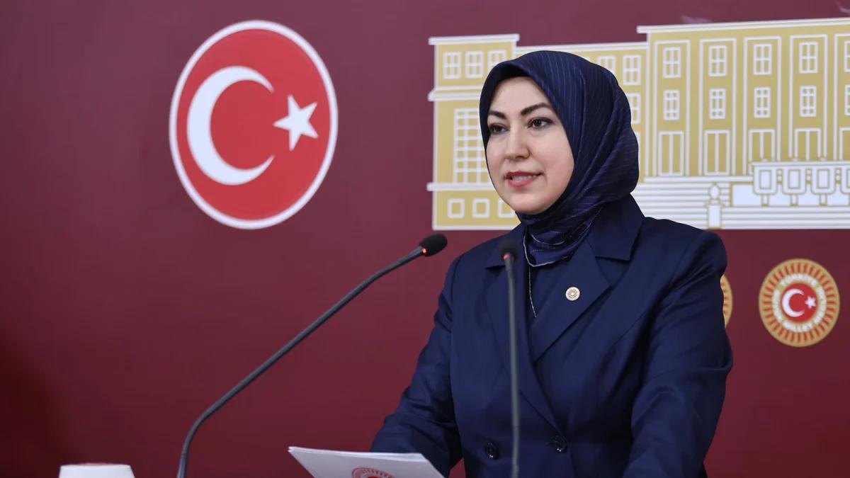 Milli ve Manevi Değerlerimize Yapılan Hakaret Kabul Edilemez!