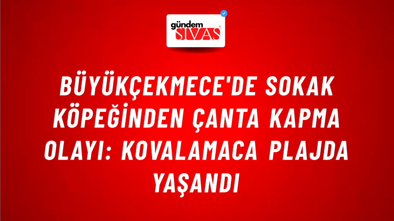 Büyükçekmece'de Sokak Köpeğinden Çanta Kapma Olayı: Kovalamaca Plajda Yaşandı