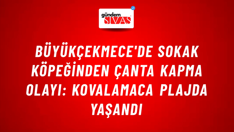 Büyükçekmece'de Sokak Köpeğinden Çanta Kapma Olayı: Kovalamaca Plajda Yaşandı