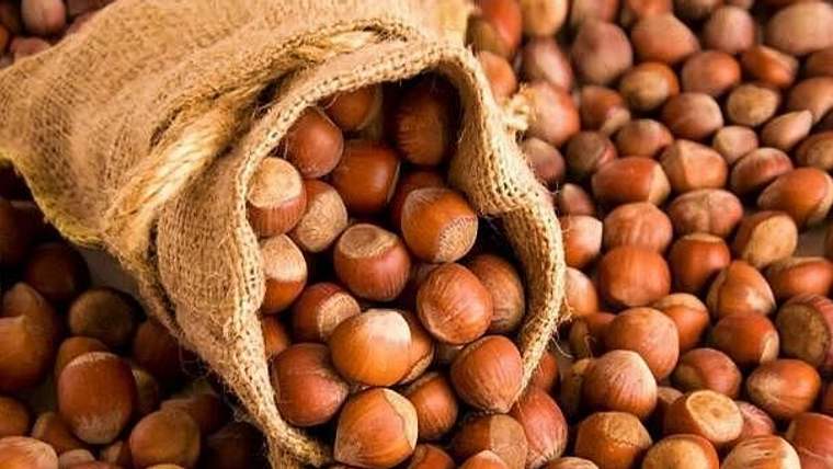 Türkiye'nin fındık ihracatında ilk sıra Almanya'nın - Birlik Haber Ajansı