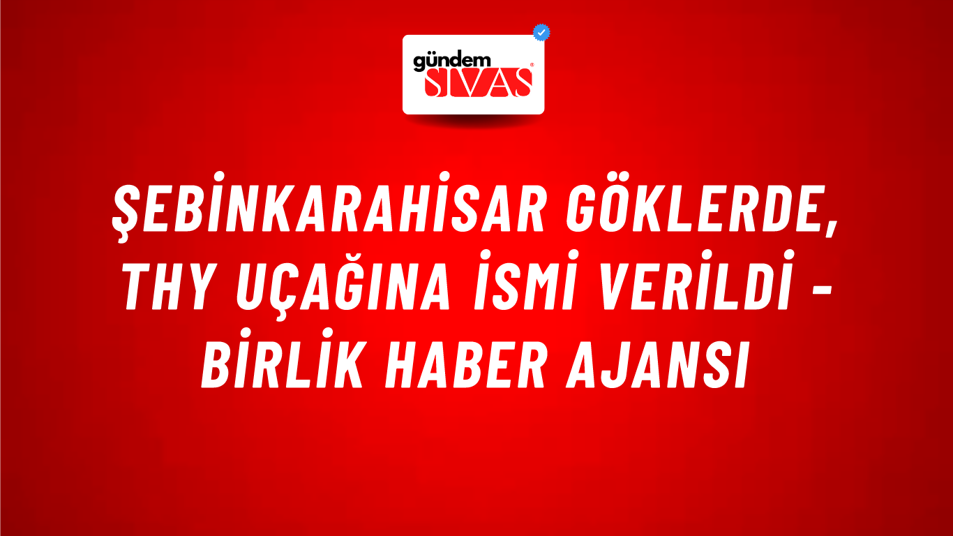 Şebinkarahisar göklerde, THY uçağına ismi verildi - Birlik Haber Ajansı