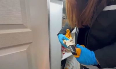 Sivas’ta Silah Kaçakçılığı Operasyonu: 18 Şüpheli Gözaltında!