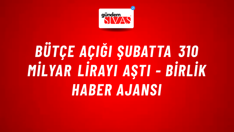 Bütçe açığı şubatta 310 milyar lirayı aştı - Birlik Haber Ajansı