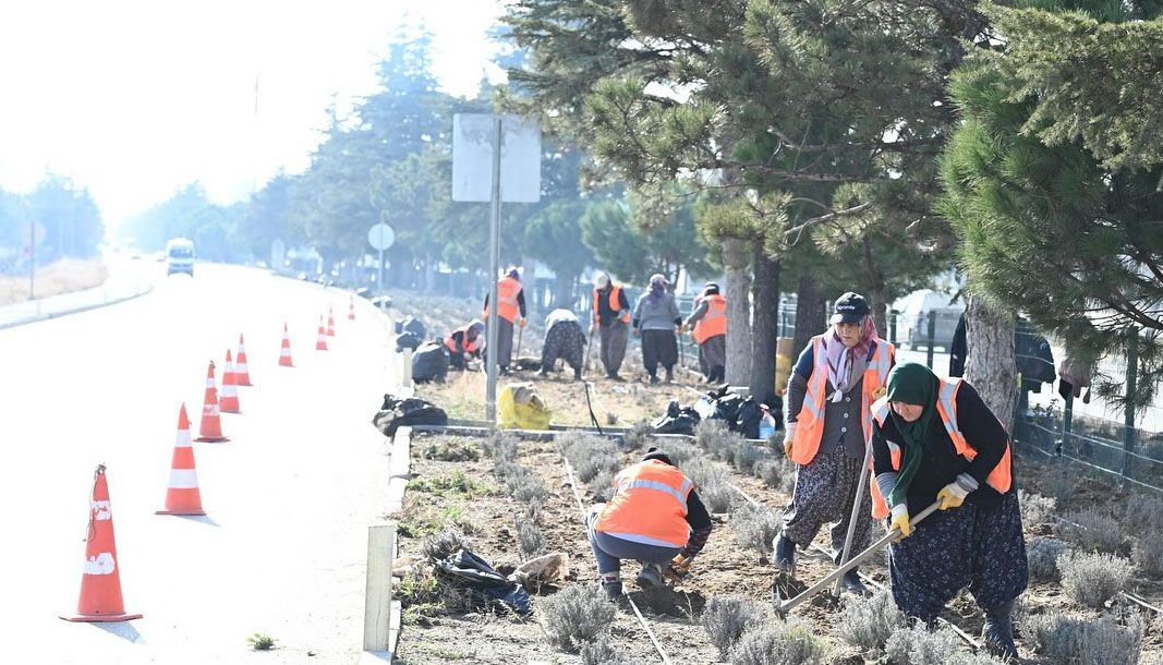 Isparta, gül ve lavanta ile bezeniyor - Birlik Haber Ajansı