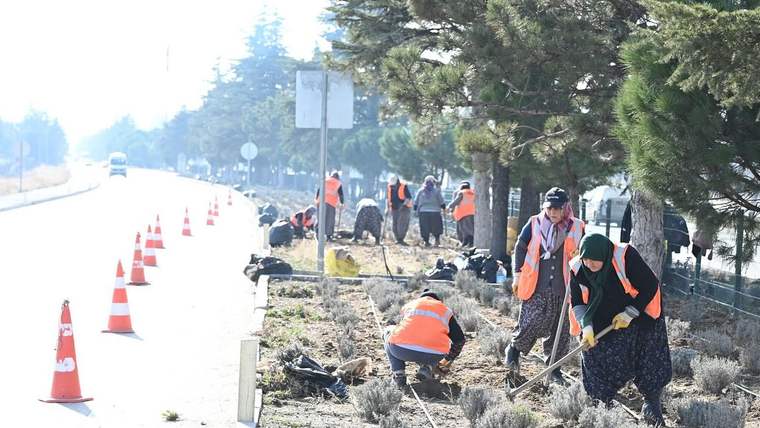 Isparta, gül ve lavanta ile bezeniyor - Birlik Haber Ajansı