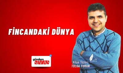 Fincandaki Dünya