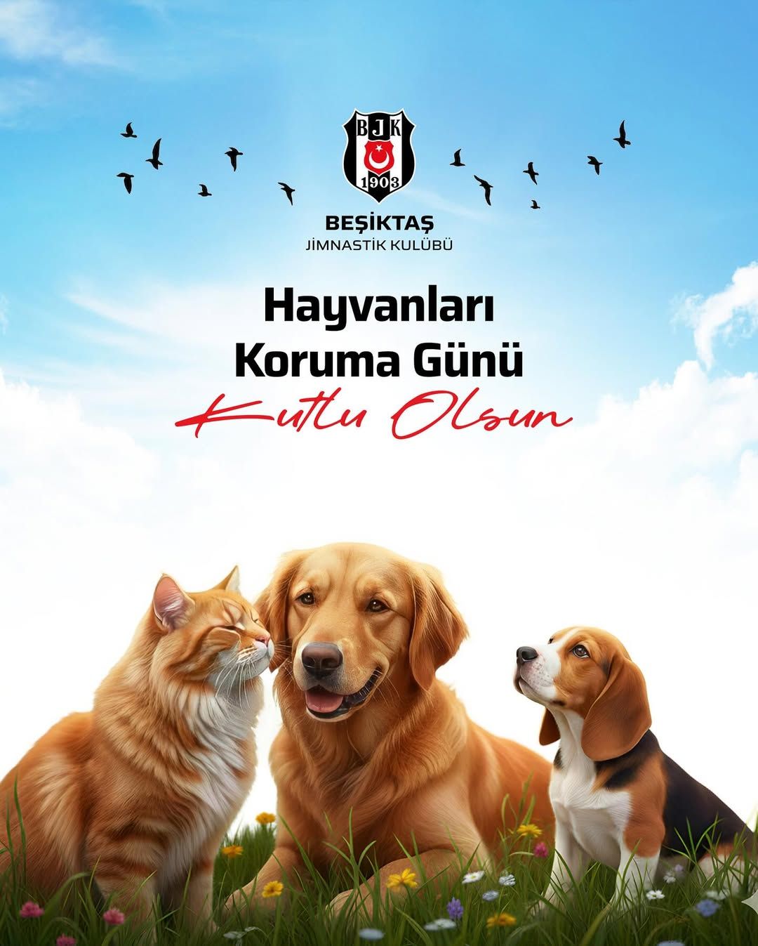 Beşiktaş Jimnastik Kulübü yazılı afişte kedi ve iki köpeğin illüstrasyonu, ortada Hayvanları Koruma Günü metni yer alıyor.