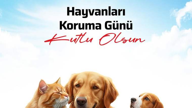 Beşiktaş Jimnastik Kulübü yazılı afişte kedi ve iki köpeğin illüstrasyonu, ortada Hayvanları Koruma Günü metni yer alıyor.
