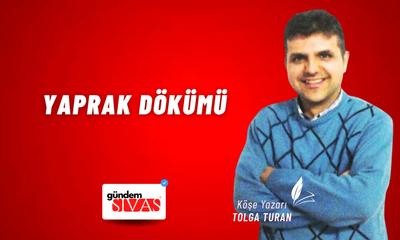 Yaprak Dökümü
