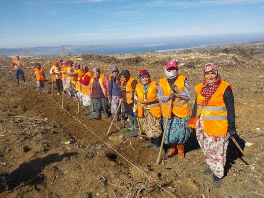 Çanakkale'de kınalı ellerden 5 milyon fidan - Birlik Haber Ajansı