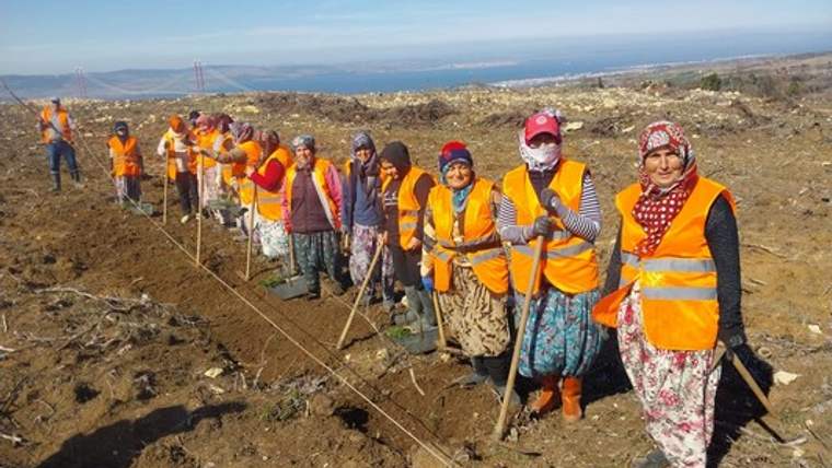 Çanakkale'de kınalı ellerden 5 milyon fidan - Birlik Haber Ajansı