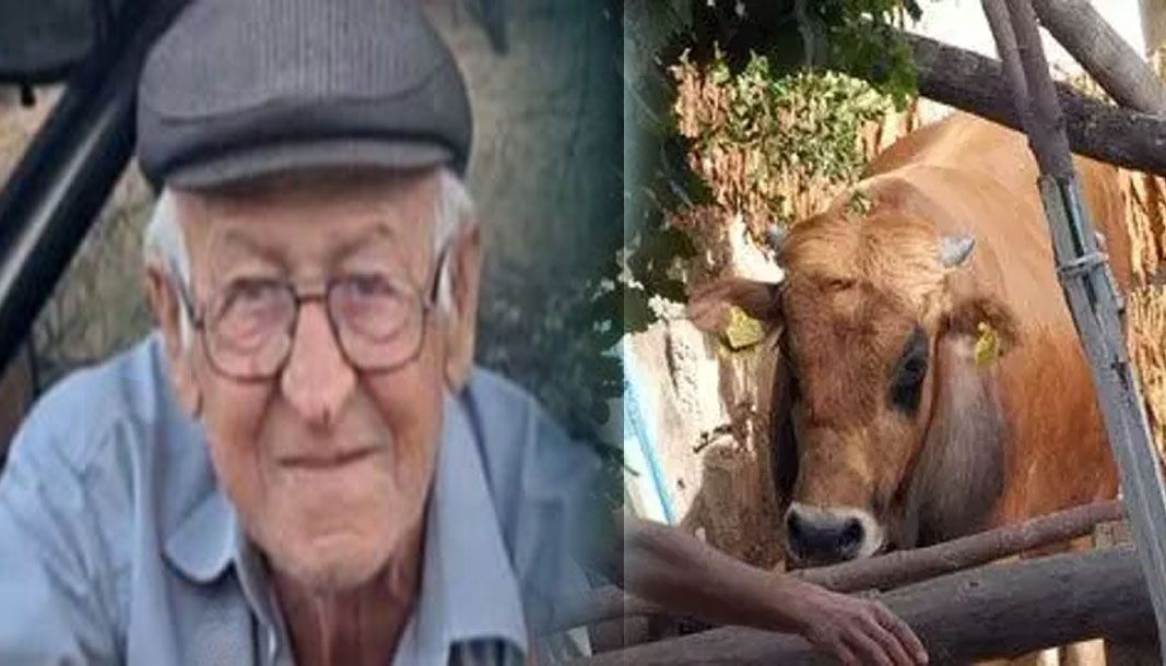 Burdur'da dananın saldırısına uğrayan adam hayatını kaybetti - Birlik Haber Ajansı