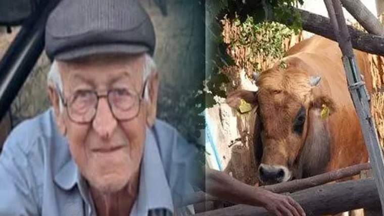 Burdur'da dananın saldırısına uğrayan adam hayatını kaybetti - Birlik Haber Ajansı