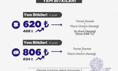 Sivas'ta Bitkisel Üretim Destekleri Artıyor / Hayvancılık ve Tarım Sektörü Güçleniyor