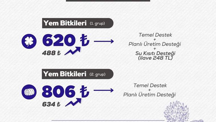Yem bitkileri için destek tutarlarını gösteren bir infografik. 1. grup için 620 TL, 2. grup için 806 TL yazıyor.