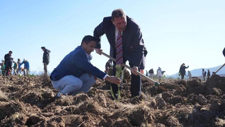 Tarlada fidan diken iki kişi, çevredeki diğer kişilerin arasında toprakla çalışıyor.