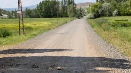 Ağaçlar ve tarlalar arasından uzanan, yüzeyi açık renkli kaplama yolun çevresinde elektrik direği görülüyor.