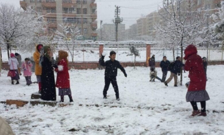 Van'da yoğun kar yağışı okulları tatil ettirdi - Birlik Haber Ajansı
